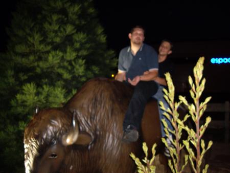 buffalo