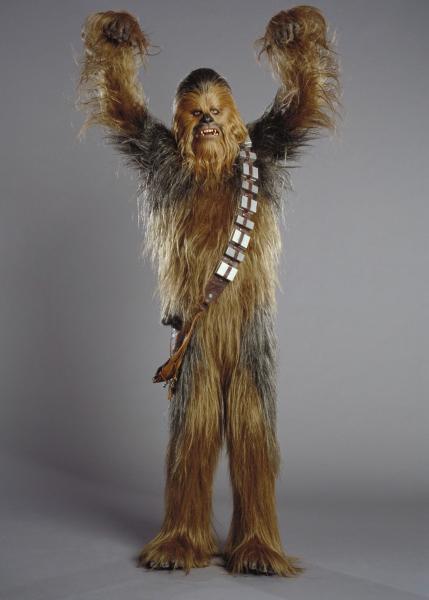 chewbaca est un plasticboys